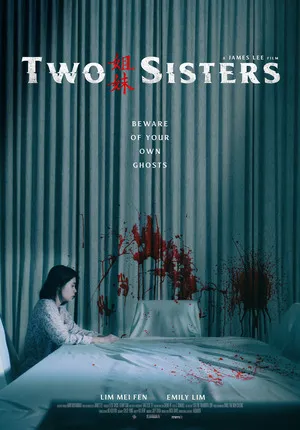 Two Sisters 2019 Hindi Dual Audio WEB-DL 720p – 480p