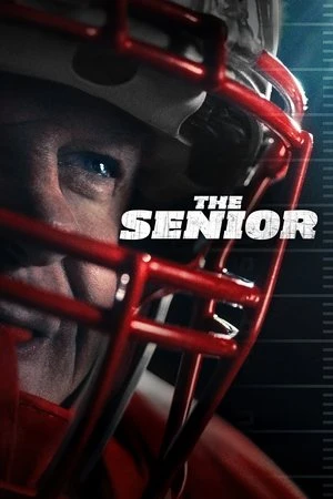 The Senior 2025 Hindi – English Audio WEB-DL 720p – 480p – 1080p