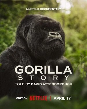 A Gorilla Story Told By David Attenborough 2026 English Audio WEB-DL 720p – 1080p – 2160p