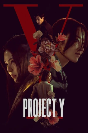 Project Y 2026 Hindi – Korean Dual Audio WEB-DL 720p – 480p – 1080p